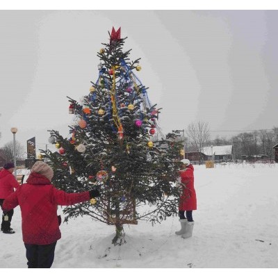 В новом сквере села Красный Яр установили новогоднюю елку