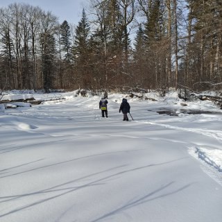 Первая группа учетчиков вернулась с верховий Бикина