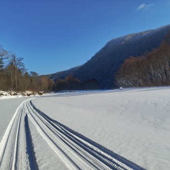 Первая группа учетчиков вернулась с верховий Бикина